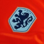 Holland Home F. De Jong 21 Shirt 2024-2025 Fan Size：S-4XL Non-Customize - Image 7