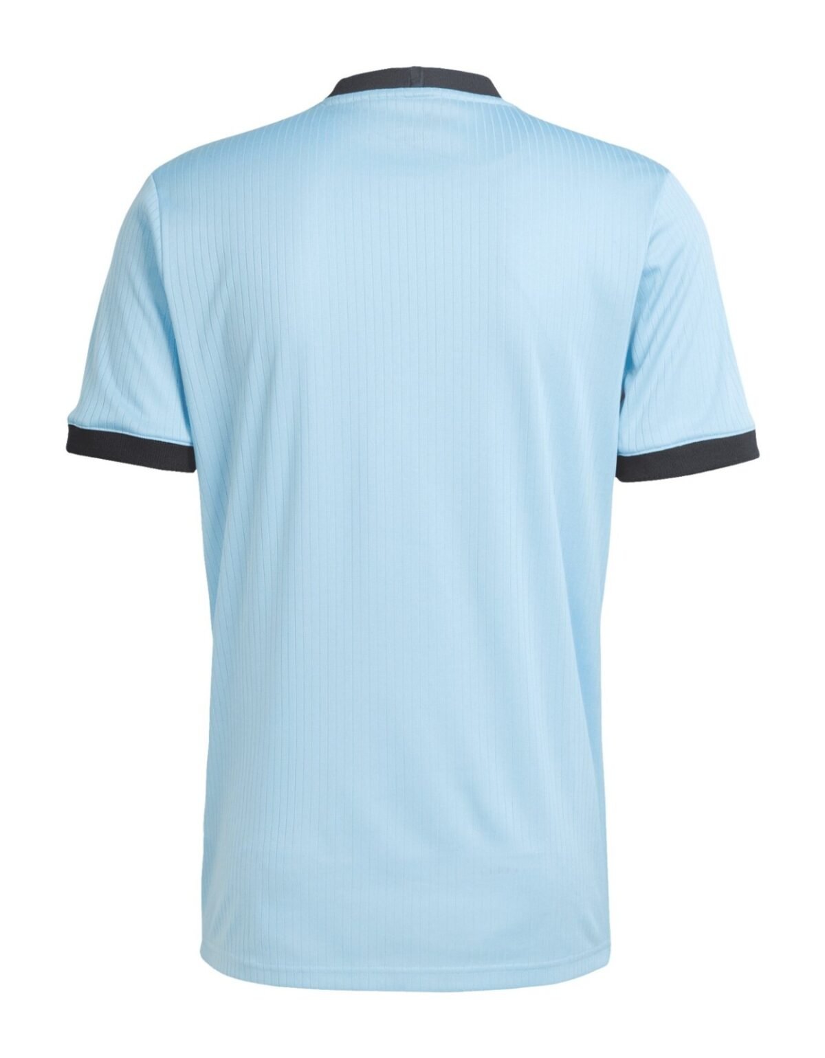 Adidas Germany 125th Anniversary Blue Goalkeeper Shirt Player Version 2025 - Image 2