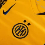 Inter Milan Third  Lautaro 10 Shirt 2024-2025 Size:S-4XL(Non-Customize ) - Image 5