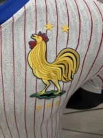 2024 France Nation  Away Jersey Player Version Euro - Image 4
