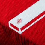Portugal Home G.Ramos 9 Shirt 2024-2025 Fan / Player version  Size：S-2XL Non-Customize - Image 15