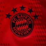 Bayern Munich Home Schweinsteiger 7 Shirt 2024-2025 Fan version  Size：S-4XL Non-Customize - Image 7