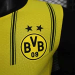 Borussia Dortmund Home Van Couto 2 Shirt 2024-2025 Player version Size：S-2XL Non-Customize - Image 5