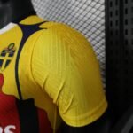 IBRAHIMOVIC #11 Milan Shirt Special Edition Football Jersey Player Version 25-26 - Image 6