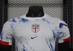 Norway Nation Away Ødegaard 10 Shirt 2024-2025 Player version Size：S-2XL Non-Customize - Image 5