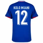France Home Kolo Muani 12 Shirt 2024-2025 Player version Size：S-2XL Non-Customize - Image 2
