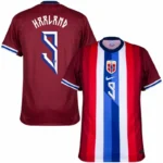 Norway Nation Home Haaland 9 Shirt 2024-2025 Fan Size：S-2XL Non-Customize