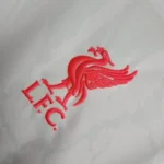 DARWIN 9# 24-25  Liverpool Third Away Football Jersey - Image 5