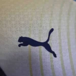 24-25 Manchester City Special Jersey Player Version - Image 5
