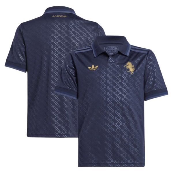 Juventus Third Shirt 2024-25